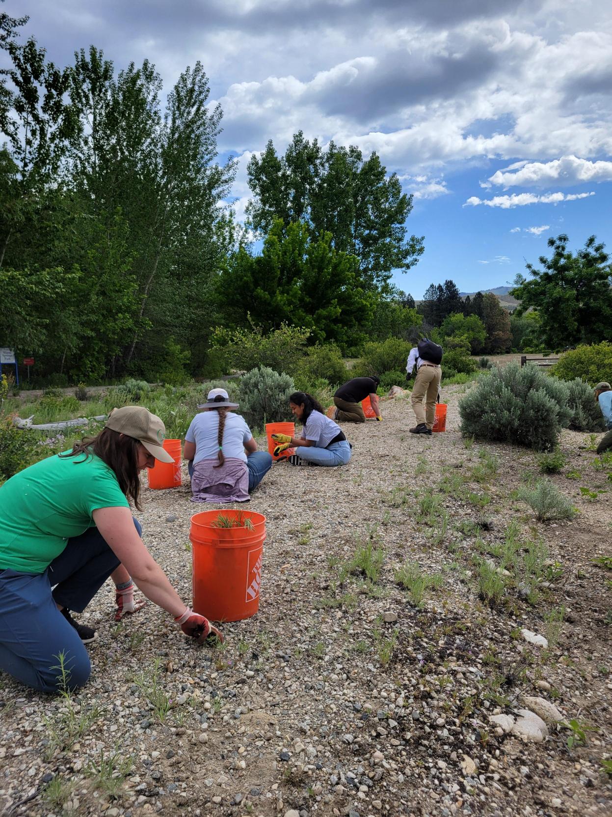Pollinator Garden3