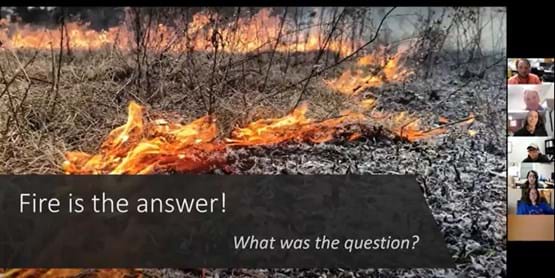 "fire is the answer" with burning trees