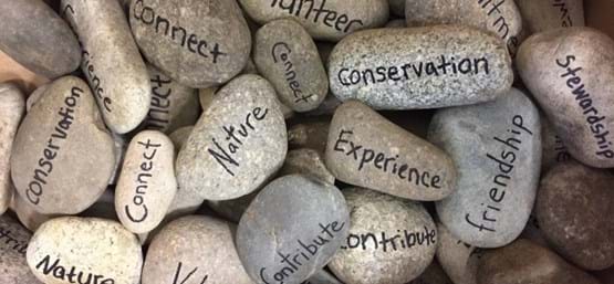 rocks with words "nature", "conservation", "connect" and "contribute" written on them