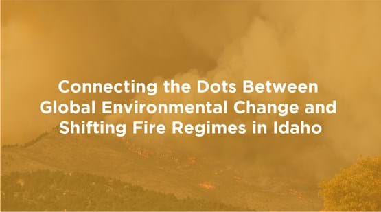 Yellow image of burning forest with the title Connecting the Dots Between Global Environmental Change and Shifting Fire Regimes in Idaho