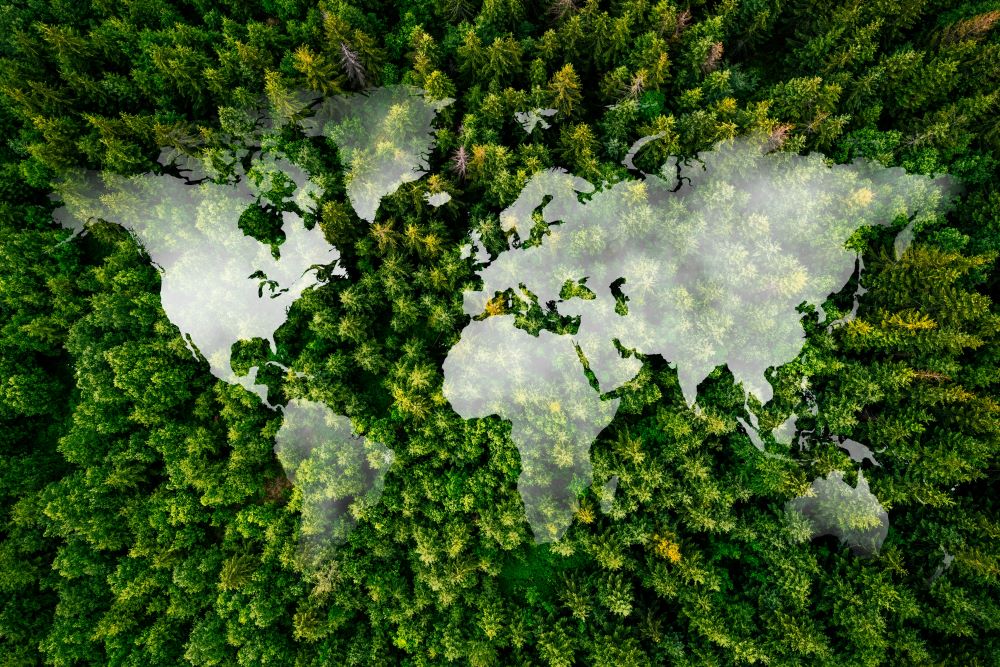 Transparent white map of the world over forest of green trees