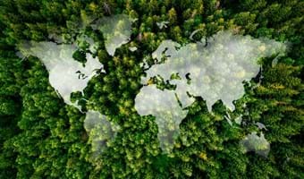 Transparent white map of the world over forest of green trees