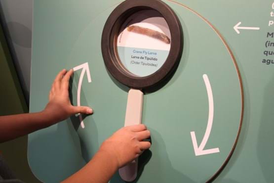 Exhibit providing sensory-friendly tools.