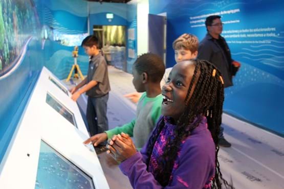 Exhibit demonstrates ASL options to child.