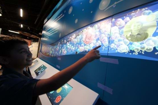 Child interacts with Pledge Wall exhibit.