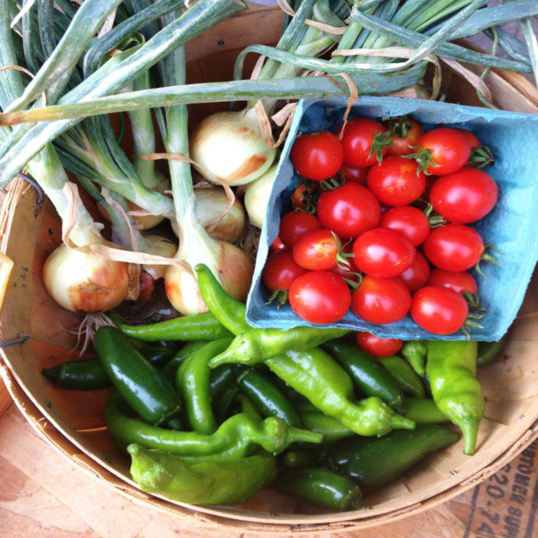 Growing Great Garlic w/ North End Organic Nursery (off-site) event thumbnail