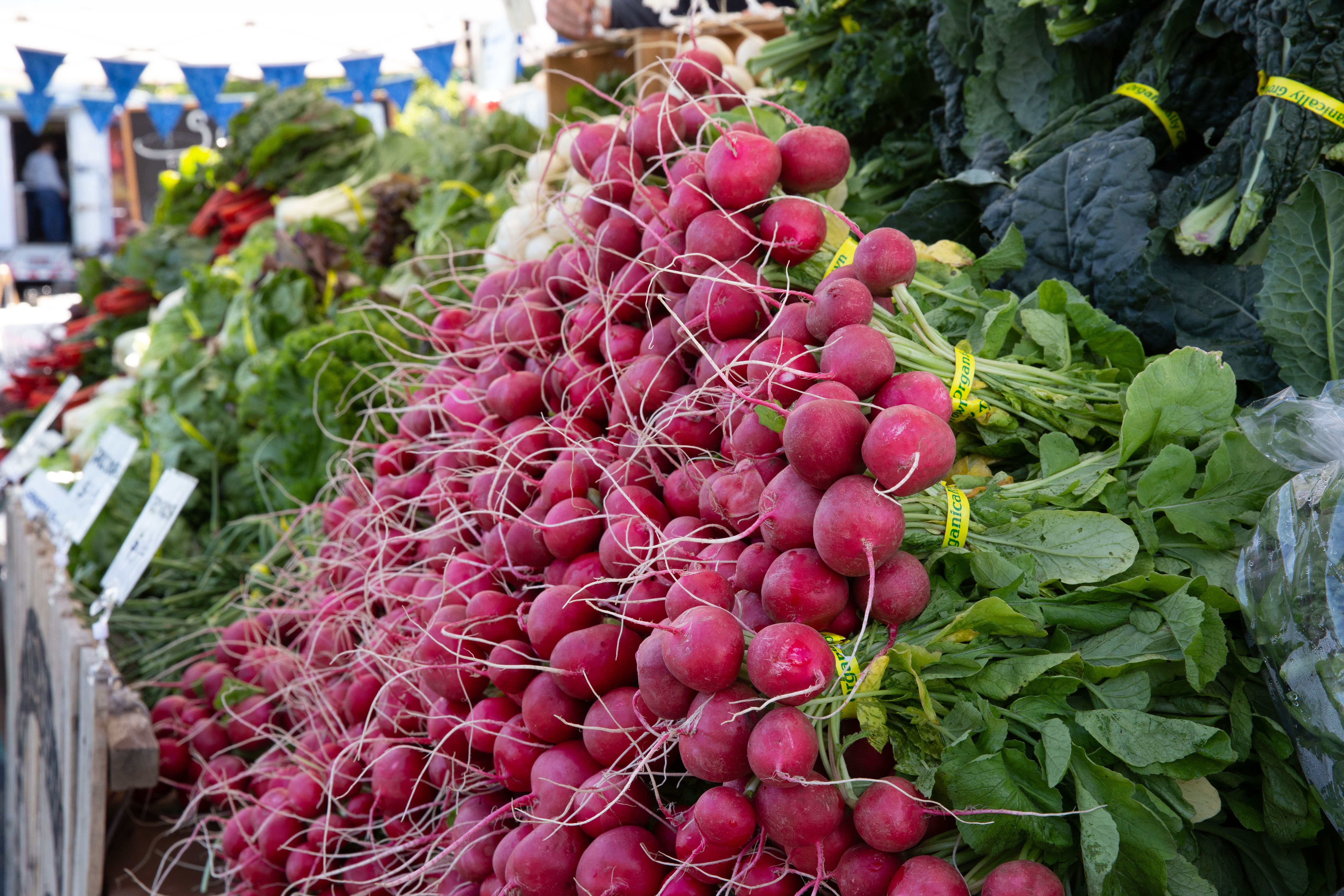 Boise Farmer's Market Winter Market: Nov 14  (off-site) event thumbnail
